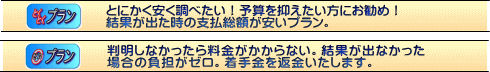 携帯調査プラン