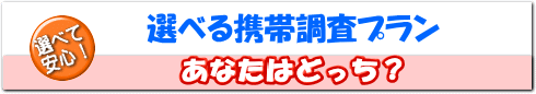 選べる携帯調査プラン